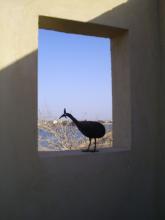 A bird sculpture on a window sill