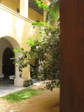 An archway and a tree
