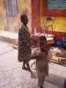 découvrir saint-louis Sénégal  séjours en maison d'hôtes